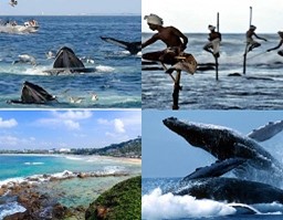 Whales and stilt fishermen