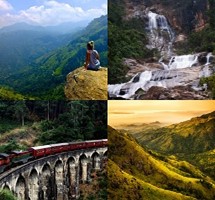 The train through tea country