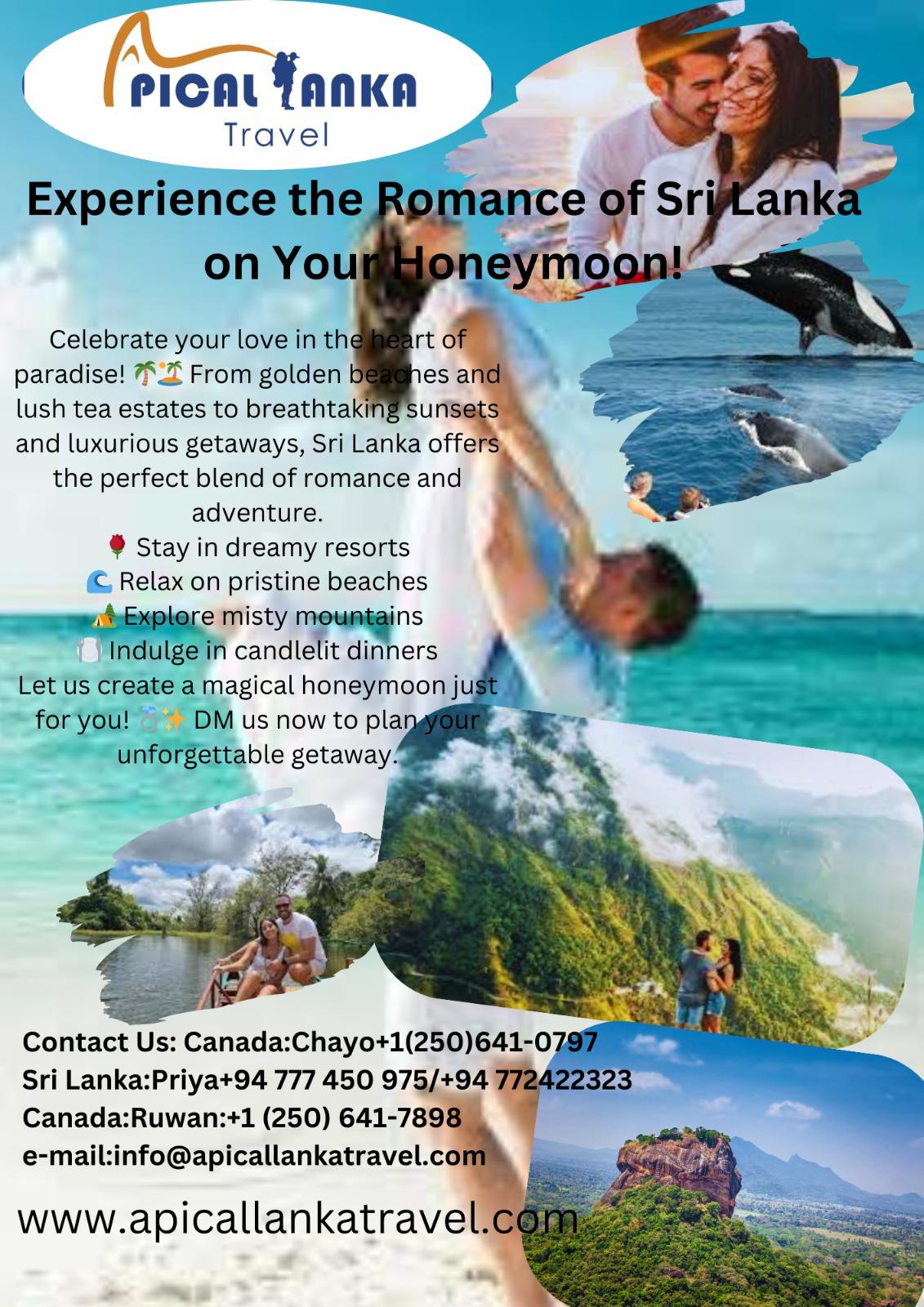 Apical Lanka Travel flyer for Sri Lanka honeymoon packages with contact details