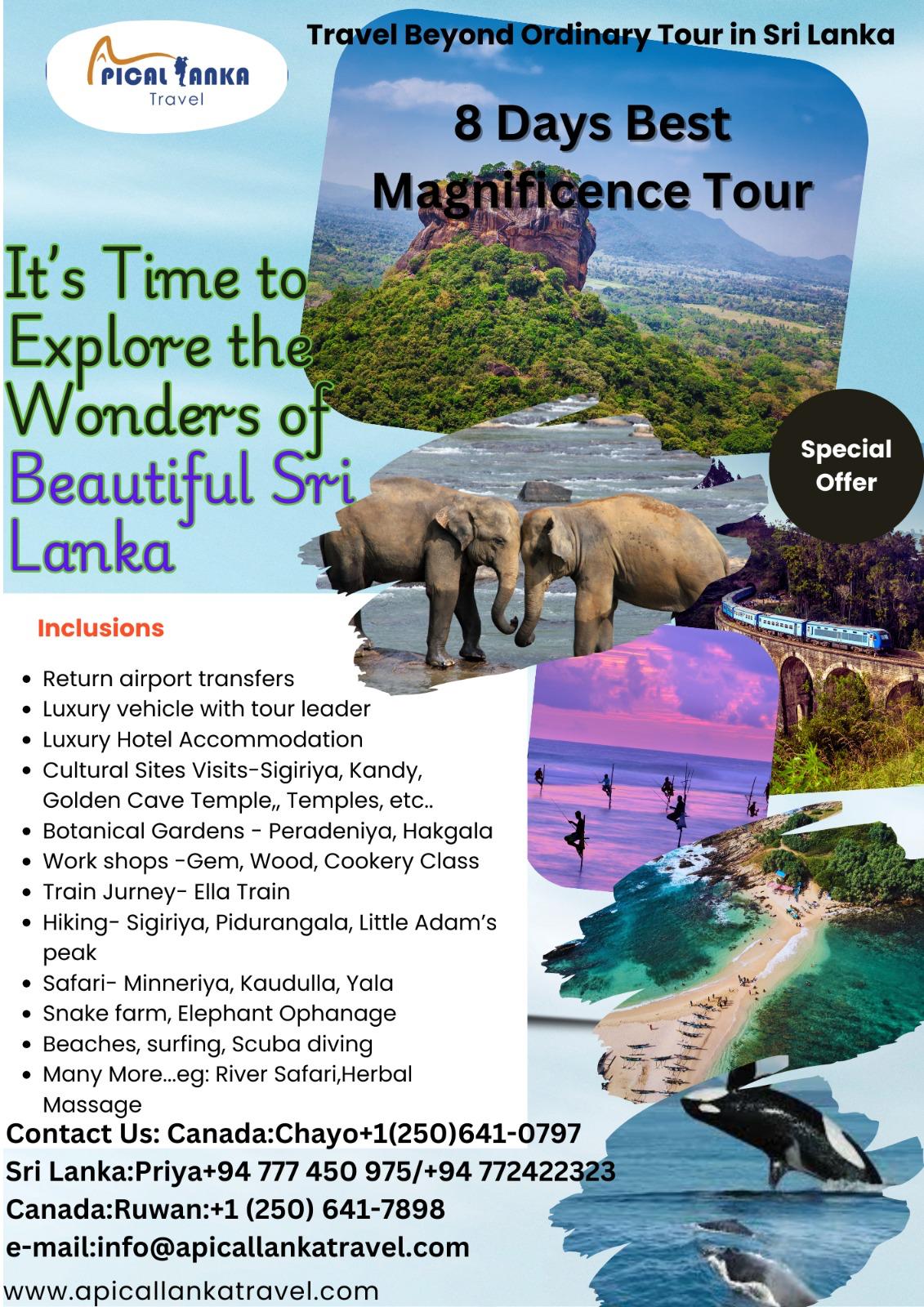 Apical Lanka Travel flyer for the 8-day Magnificence Tour of Sri Lanka, with itinerary highlights and contact details
