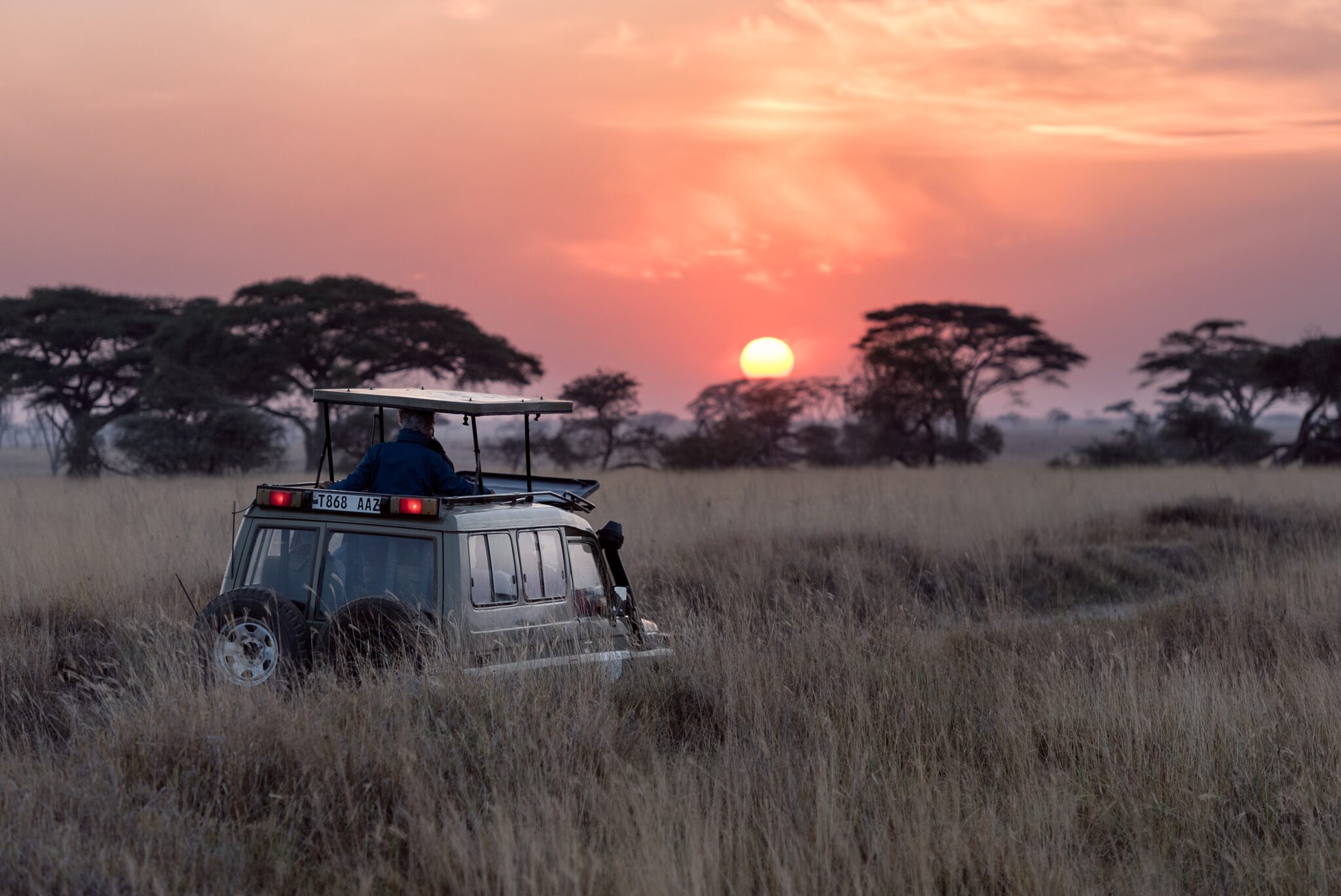 A safari vehicle crossing open grassland at sunset under acacia trees